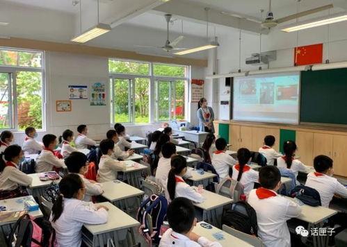 徐州小学爆料案件最新,揭开校园安全隐秘一角