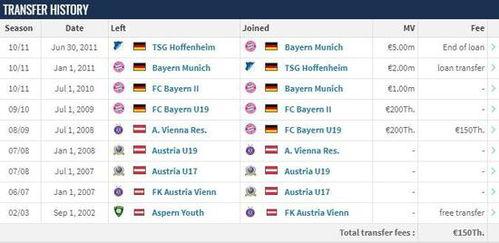 德国转会市场最新爆料消息,球星转会动态揭秘！