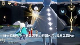 光遇最新全部爆料,揭秘全新爆料，探索神秘世界与未知冒险