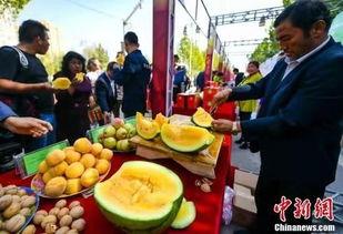 柳州最新吃瓜爆料事件,神秘事件背后真相揭晓！