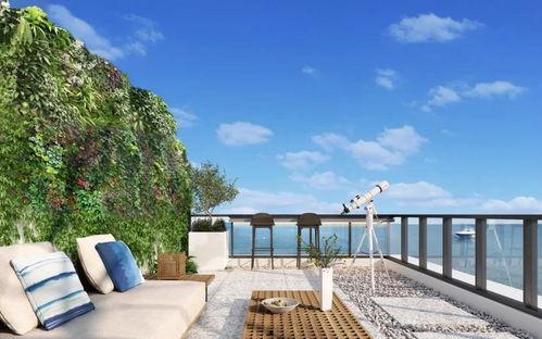 观屿最新爆料,揭秘神秘项目背后的惊人真相