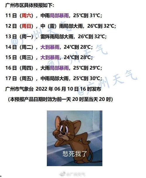 爆料广州主播是谁啊最新消息,最新爆料揭示神秘主播真容