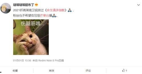 鹅厂最新爆料肖战杨紫,青春校园爱情故事引期待